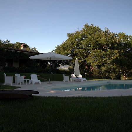The Forest House Ισέρνια Εξωτερικό φωτογραφία