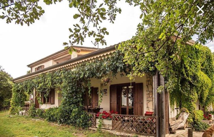The Forest House Ισέρνια Εξωτερικό φωτογραφία